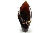 Tall, Free-Standing Polished Indonesian Blue Amber #311486-1